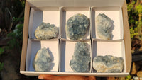 Natural Blue Celestite Crystal Specimens  x 6 From Sakoany, Madagascar - Toprock Gemstones and Minerals 
