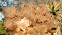 Natural Smokey White Phantom Quartz Cluster x 1 From Luena, Congo - Toprock Gemstones and Minerals 