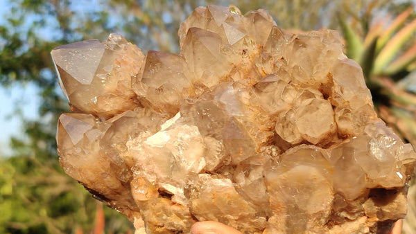 Natural Smokey White Phantom Quartz Cluster x 1 From Luena, Congo - Toprock Gemstones and Minerals 