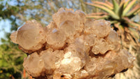 Natural Smokey White Phantom Quartz Cluster x 1 From Luena, Congo - Toprock Gemstones and Minerals 