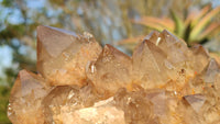 Natural Smokey White Phantom Quartz Cluster x 1 From Luena, Congo - Toprock Gemstones and Minerals 