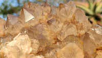 Natural Smokey White Phantom Quartz Cluster x 1 From Luena, Congo - Toprock Gemstones and Minerals 