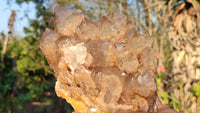 Natural Smokey White Phantom Quartz Cluster x 1 From Luena, Congo - Toprock Gemstones and Minerals 
