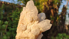 Natural Candle Quartz Crystal Clusters x 6 From Madagascar - Toprock Gemstones and Minerals 