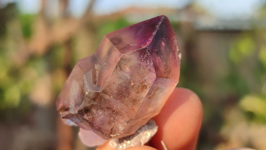Natural Skeletal & Sceptre Smokey Amethyst Crystals  x 12 From Chiredzi, Zimbabwe - Toprock Gemstones and Minerals 