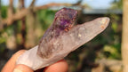 Natural Skeletal & Sceptre Smokey Amethyst Crystals  x 12 From Chiredzi, Zimbabwe - Toprock Gemstones and Minerals 