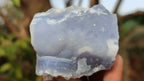 Natural Etched Blue Chalcedony Specimens  x 12 From Nsanje, Malawi - Toprock Gemstones and Minerals 