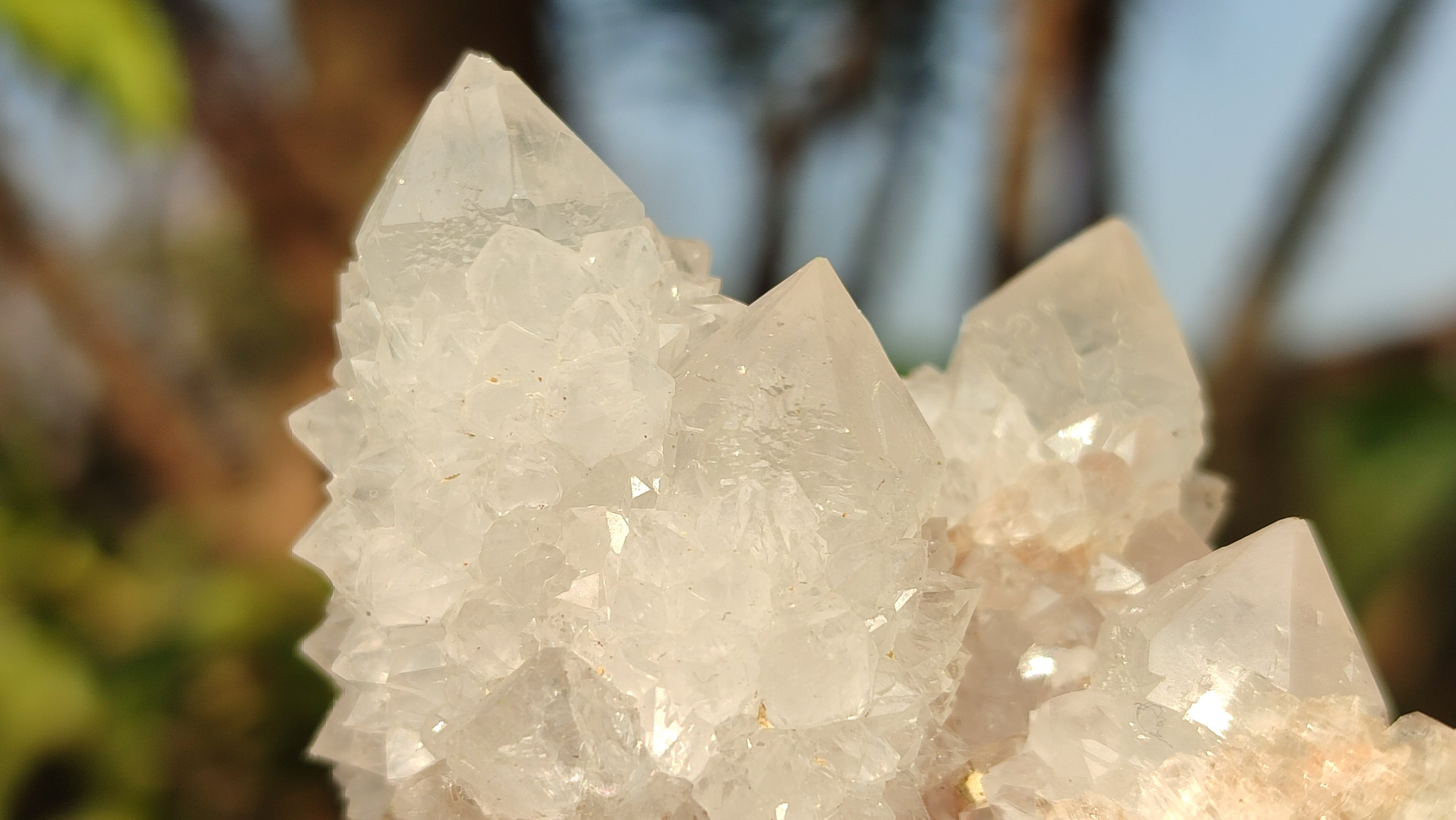 Natural White Cactus Flower Spirit Quartz Specimens x 12 From Boekenhouthoek, South Africa - Toprock Gemstones and Minerals 