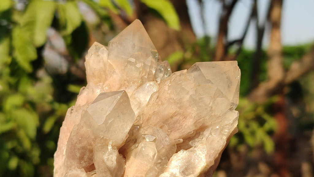 Natural Cascading Smokey Quartz Clusters  x 2 From Luena, Congo - Toprock Gemstones and Minerals 