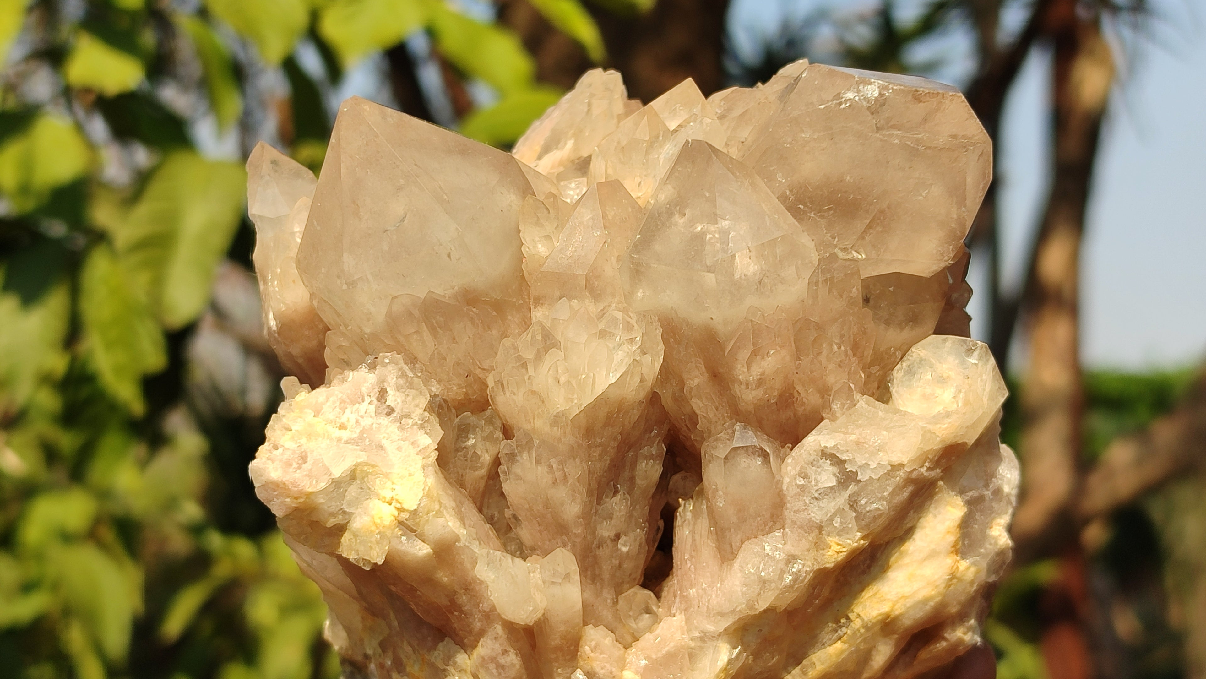 Natural Cascading Smokey Quartz Clusters  x 2 From Luena, Congo - Toprock Gemstones and Minerals 