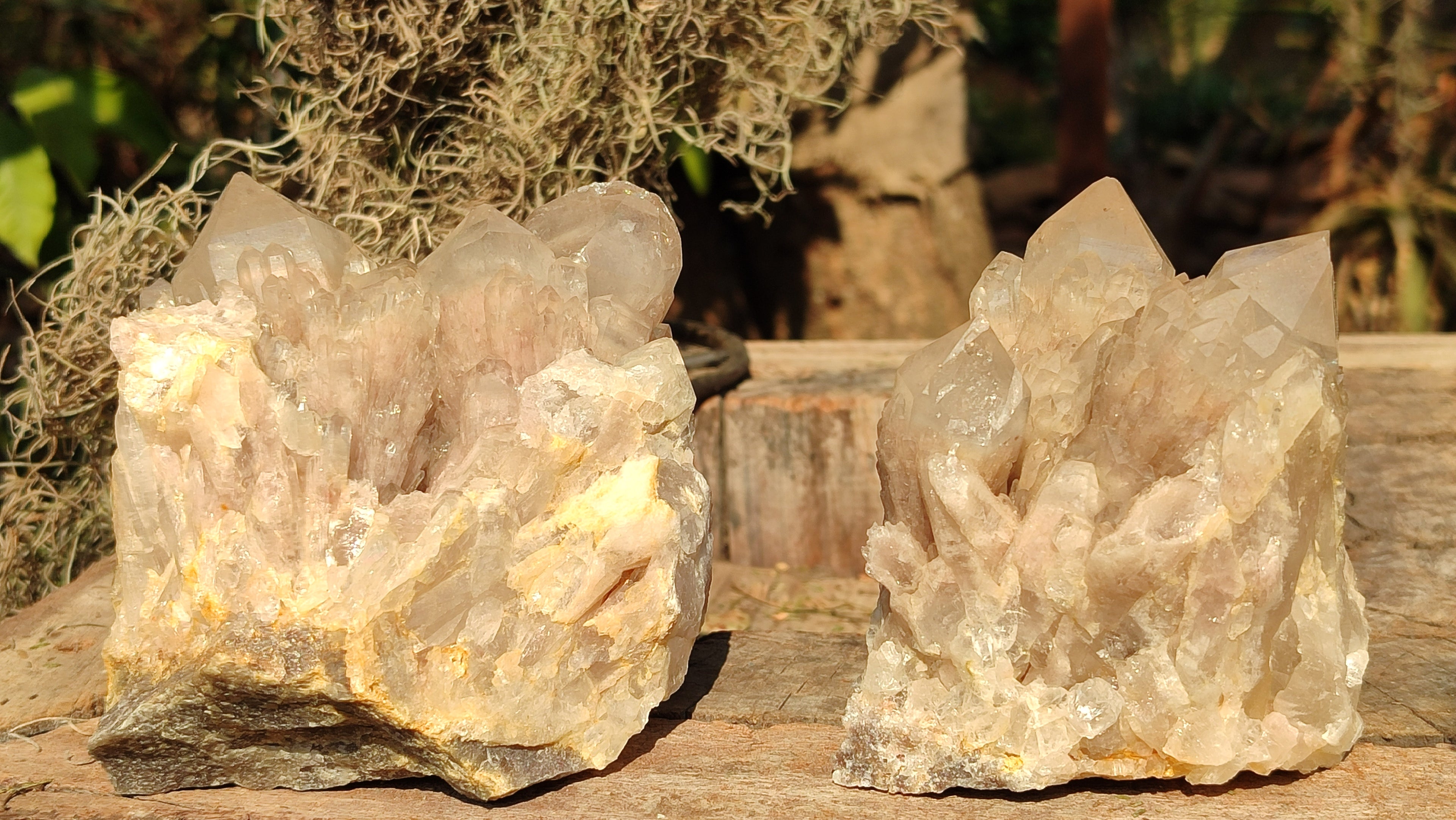 Natural Cascading Smokey Quartz Clusters  x 2 From Luena, Congo - Toprock Gemstones and Minerals 