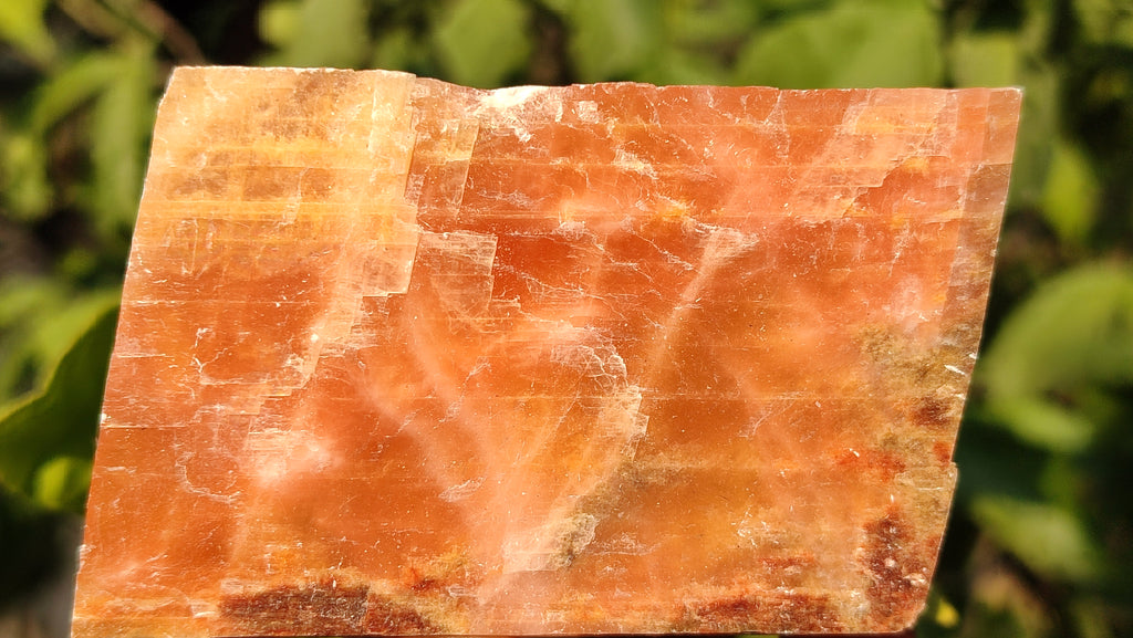 Natural New Sunset Orange Calcite Specimens  x 12 From Spitzkop, Namibia - Toprock Gemstones and Minerals 