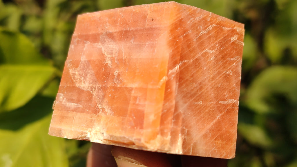 Natural New Sunset Orange Calcite Specimens  x 12 From Spitzkop, Namibia - Toprock Gemstones and Minerals 
