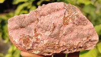 Natural Pink Salrose Cobaltion Dolomite Specimens x 6 From Kakanda, Congo - Toprock Gemstones and Minerals 