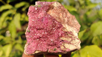 Natural Pink Salrose Cobaltion Dolomite Specimens x 6 From Kakanda, Congo - Toprock Gemstones and Minerals 