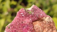 Natural Pink Salrose Cobaltion Dolomite Specimens x 6 From Kakanda, Congo - Toprock Gemstones and Minerals 