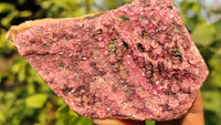 Natural Pink Salrose Cobaltion Dolomite Specimens x 6 From Kakanda, Congo - Toprock Gemstones and Minerals 