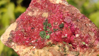 Natural Pink Salrose Cobaltion Dolomite Specimens x 6 From Kakanda, Congo - Toprock Gemstones and Minerals 