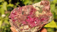 Natural Pink Salrose Cobaltion Dolomite Specimens x 6 From Kakanda, Congo - Toprock Gemstones and Minerals 