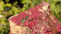 Natural Pink Salrose Cobaltion Dolomite Specimens x 6 From Kakanda, Congo - Toprock Gemstones and Minerals 