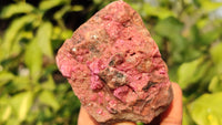 Natural Pink Salrose Cobaltion Dolomite Specimens x 6 From Kakanda, Congo - Toprock Gemstones and Minerals 