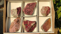 Natural Pink Salrose Cobaltion Dolomite Specimens x 6 From Kakanda, Congo - Toprock Gemstones and Minerals 