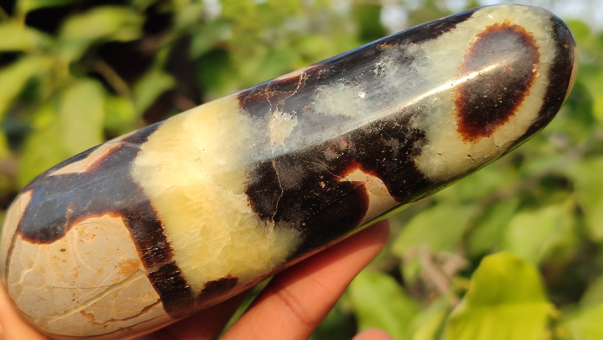 Polished  Large Septerye Massage Wands x 6 From Madagascar - Toprock Gemstones and Minerals 