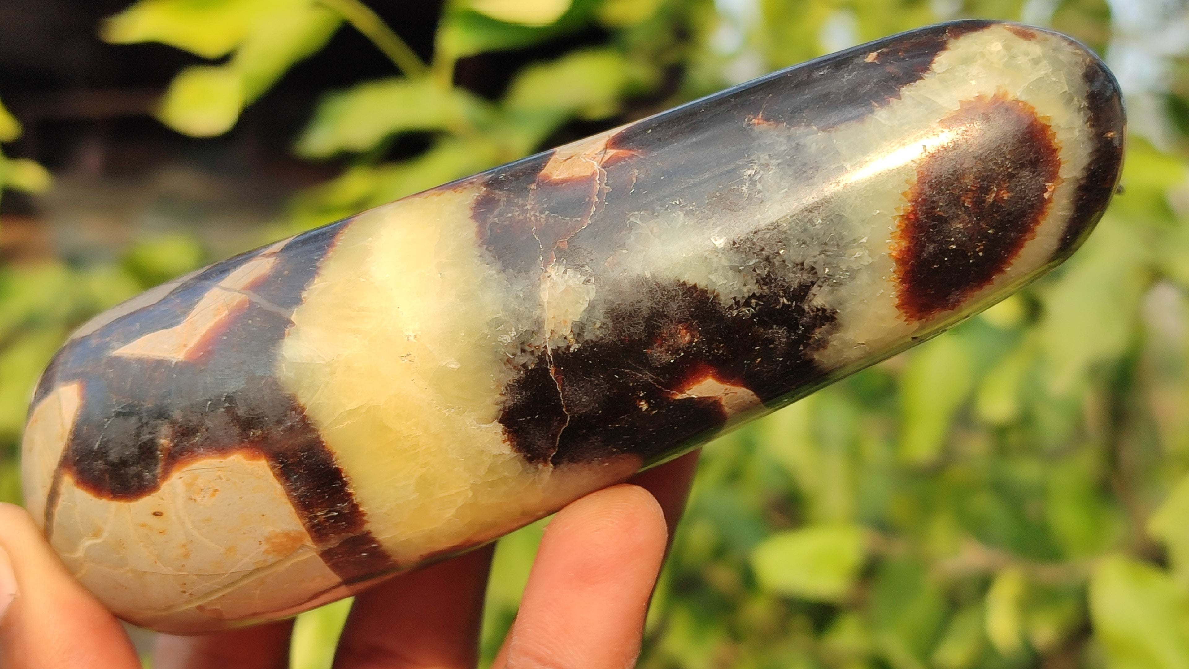 Polished  Large Septerye Massage Wands x 6 From Madagascar - Toprock Gemstones and Minerals 