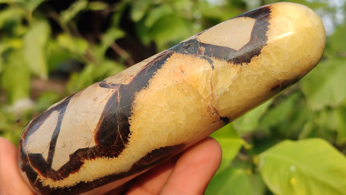 Polished  Large Septerye Massage Wands x 6 From Madagascar - Toprock Gemstones and Minerals 