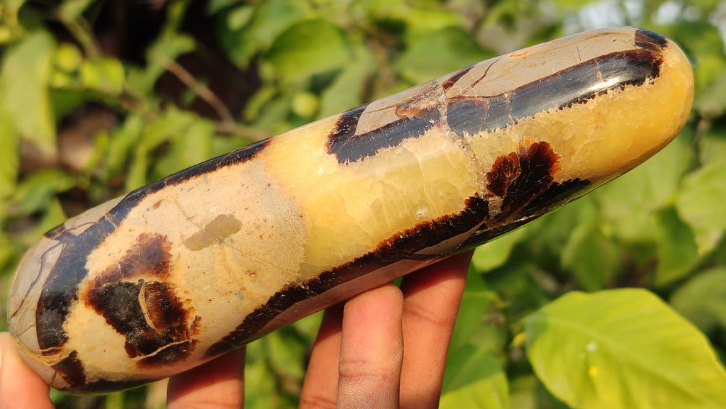 Polished  Large Septerye Massage Wands x 6 From Madagascar - Toprock Gemstones and Minerals 