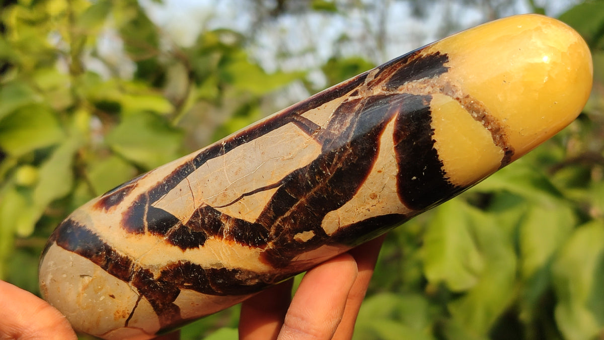 Polished  Large Septerye Massage Wands x 6 From Madagascar - Toprock Gemstones and Minerals 