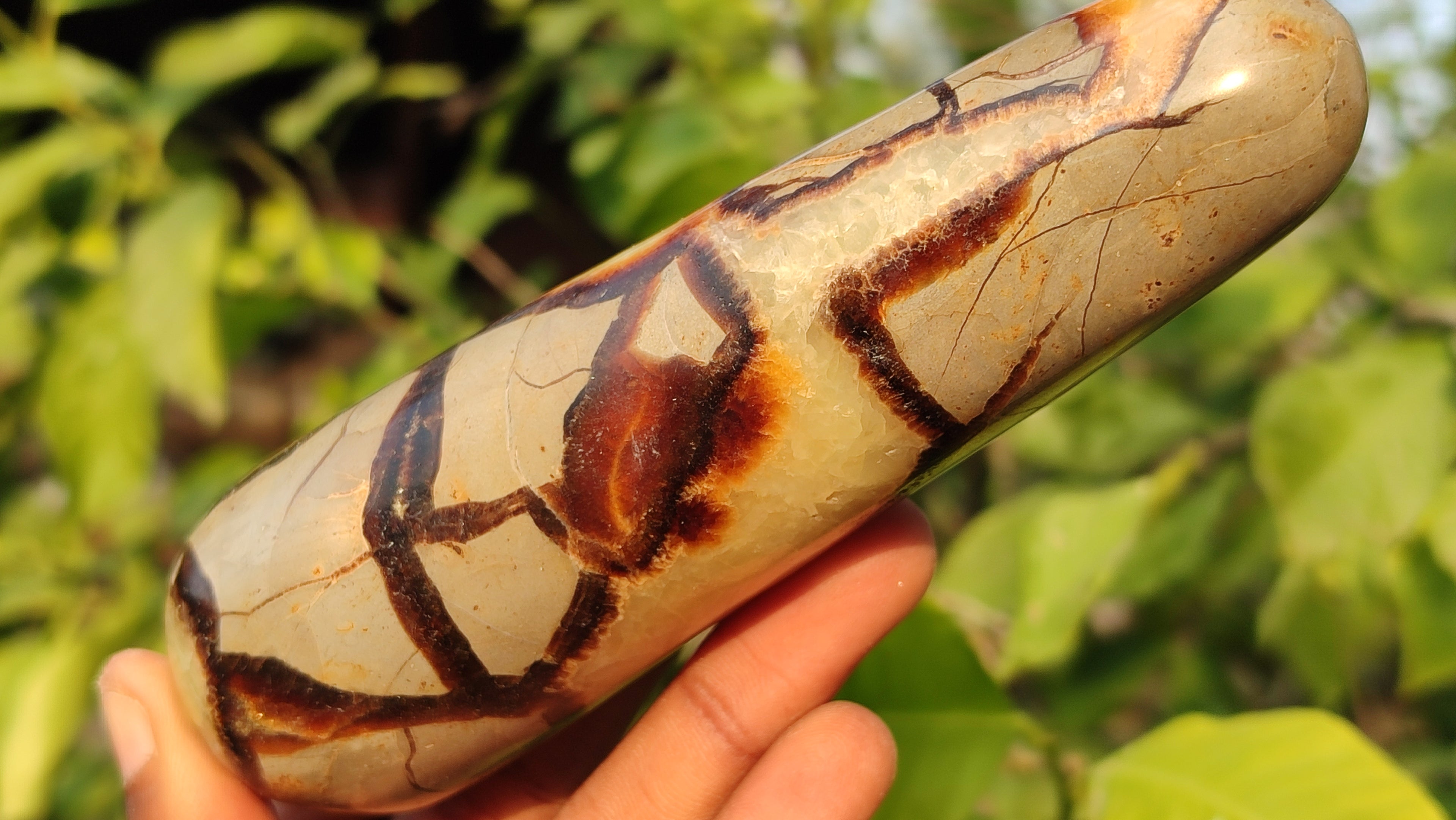 Polished  Large Septerye Massage Wands x 6 From Madagascar - Toprock Gemstones and Minerals 