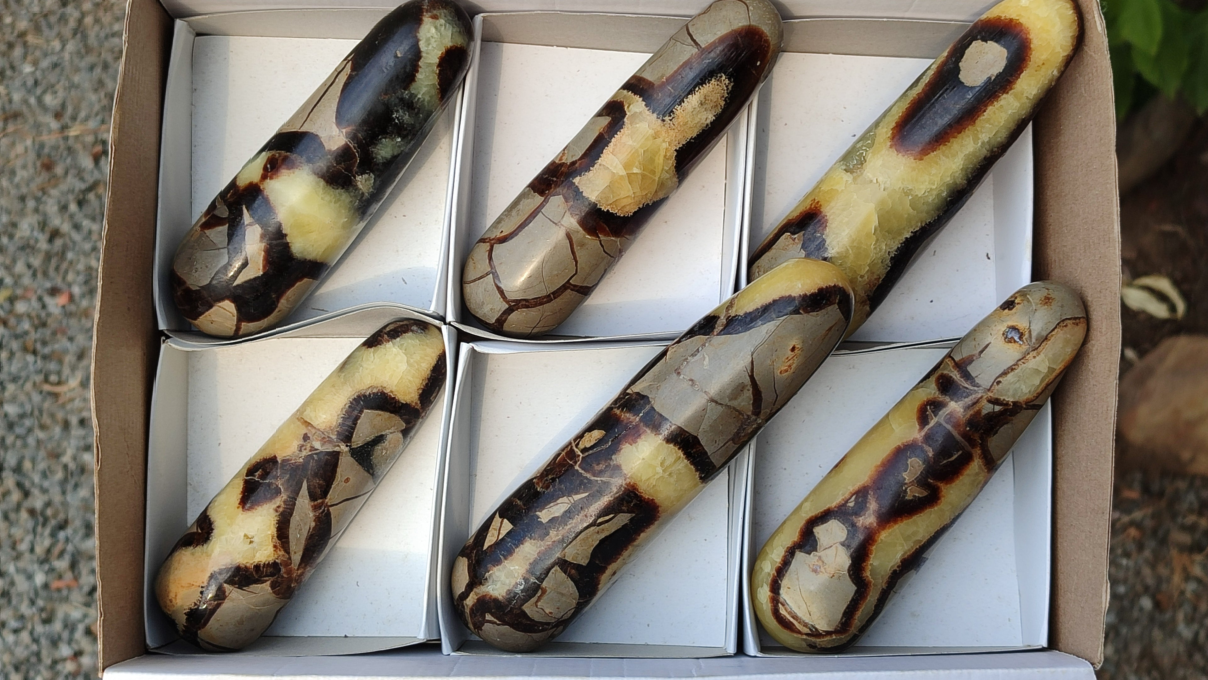 Polished  Large Septerye Massage Wands x 6 From Madagascar - Toprock Gemstones and Minerals 