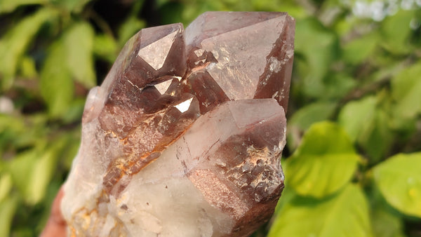 Natural Red Hematoid Quartz Specimens x 3 From Karoi, Zimbabwe - Toprock Gemstones and Minerals 