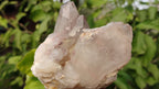 Natural Red Hematoid Quartz Specimens x 3 From Karoi, Zimbabwe - Toprock Gemstones and Minerals 