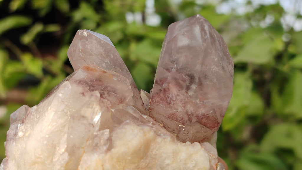 Natural Red Hematoid Quartz Specimens x 3 From Karoi, Zimbabwe - Toprock Gemstones and Minerals 