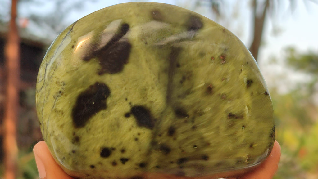 Polished  Large Leopard Stone Free Forms  x 4 From Zimbabwe - Toprock Gemstones and Minerals 