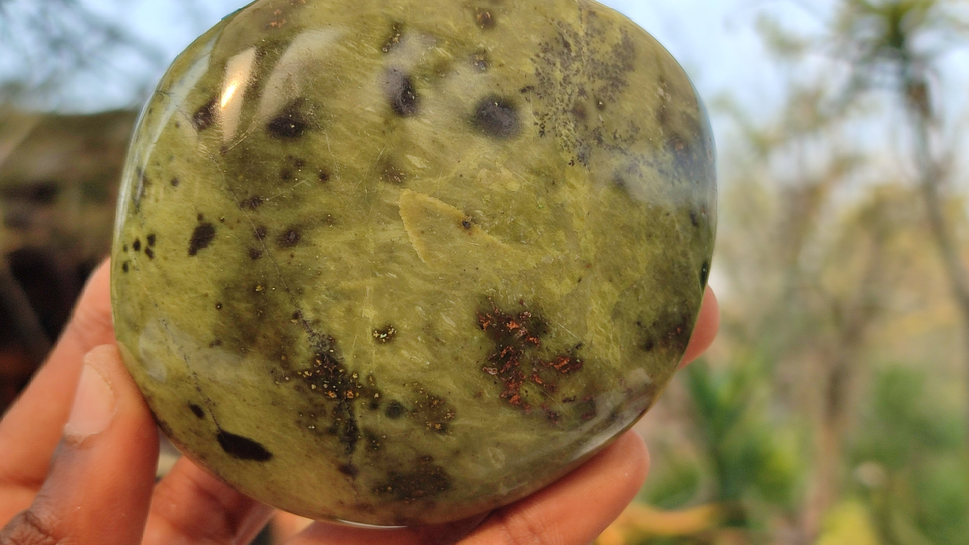 Polished  Large Leopard Stone Free Forms  x 4 From Zimbabwe - Toprock Gemstones and Minerals 