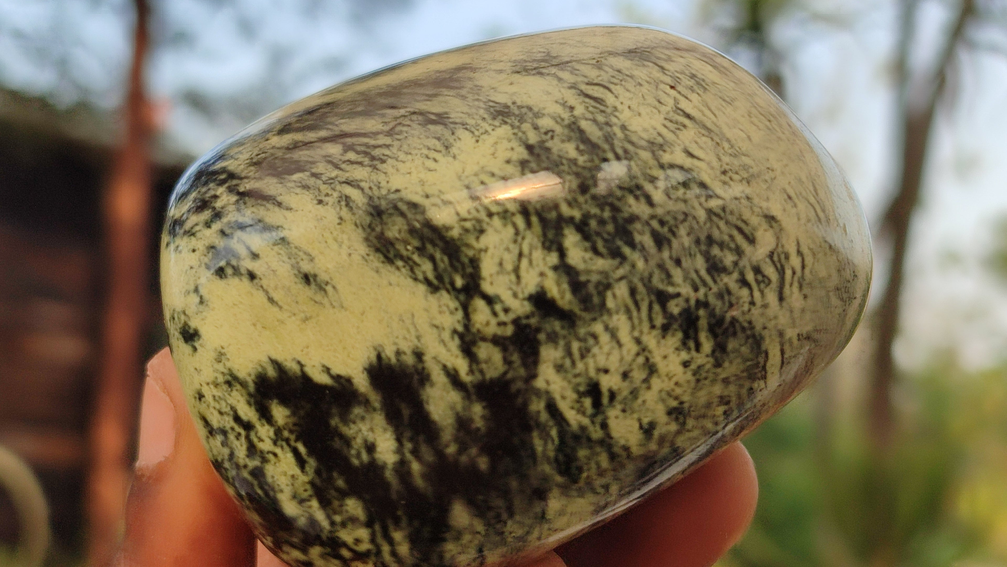 Polished  Large Leopard Stone Free Forms  x 4 From Zimbabwe - Toprock Gemstones and Minerals 