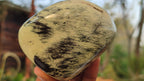 Polished  Large Leopard Stone Free Forms  x 4 From Zimbabwe - Toprock Gemstones and Minerals 