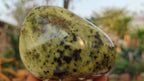 Polished  Large Leopard Stone Free Forms  x 4 From Zimbabwe - Toprock Gemstones and Minerals 