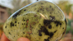 Polished  Large Leopard Stone Free Forms  x 4 From Zimbabwe - Toprock Gemstones and Minerals 
