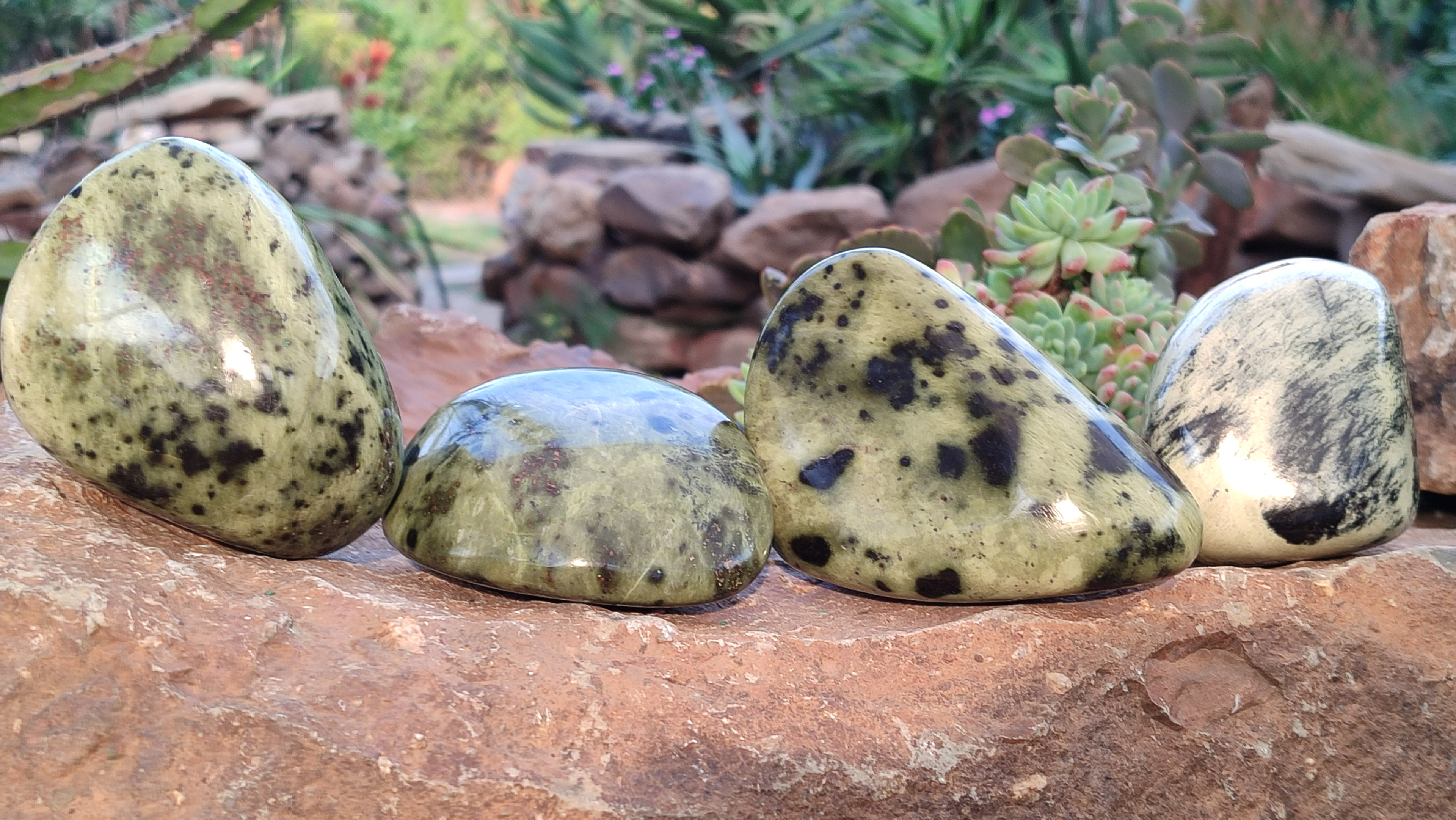 Polished  Large Leopard Stone Free Forms  x 4 From Zimbabwe - Toprock Gemstones and Minerals 