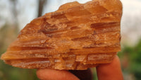 Natural Honey Aragonite Etched & Cobbed Pieces  x 35 From Namibia - Toprock Gemstones and Minerals 