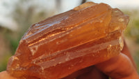 Natural Honey Aragonite Etched & Cobbed Pieces  x 35 From Namibia - Toprock Gemstones and Minerals 