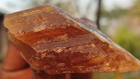 Natural Honey Aragonite Etched & Cobbed Pieces  x 35 From Namibia - Toprock Gemstones and Minerals 