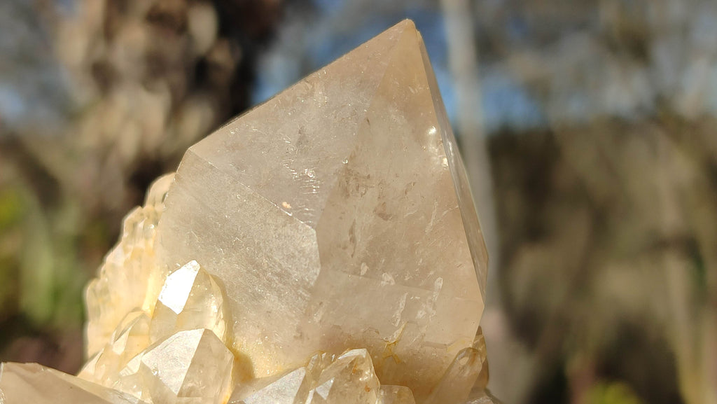 Natural Cascading Smokey Quartz Clusters x 2 From Congo - Toprock Gemstones and Minerals 