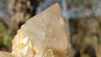 Natural Cascading Smokey Quartz Clusters x 2 From Congo - Toprock Gemstones and Minerals 