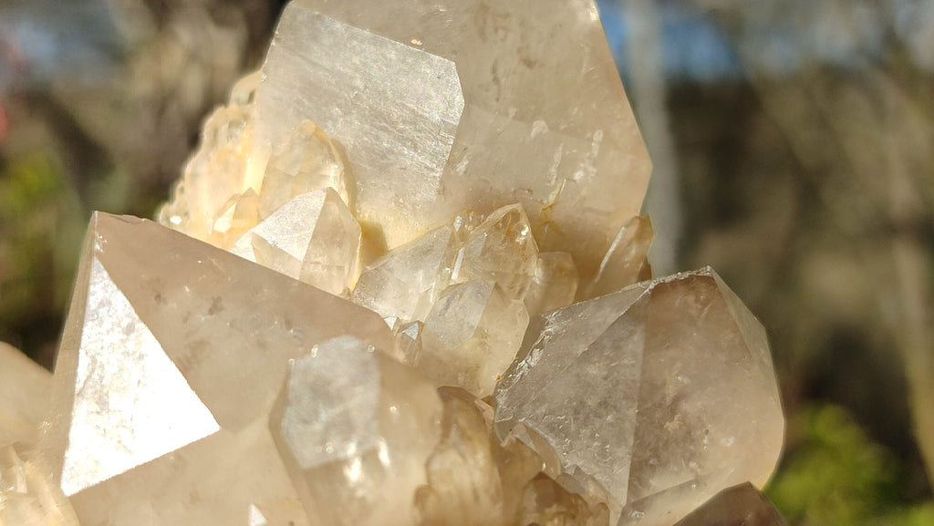 Natural Cascading Smokey Quartz Clusters x 2 From Congo - Toprock Gemstones and Minerals 