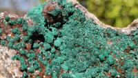 Natural Rare Ball Malachite On Drusy Quartz & Dolomite Specimens x 2 From Kambove, Congo - Toprock Gemstones and Minerals 